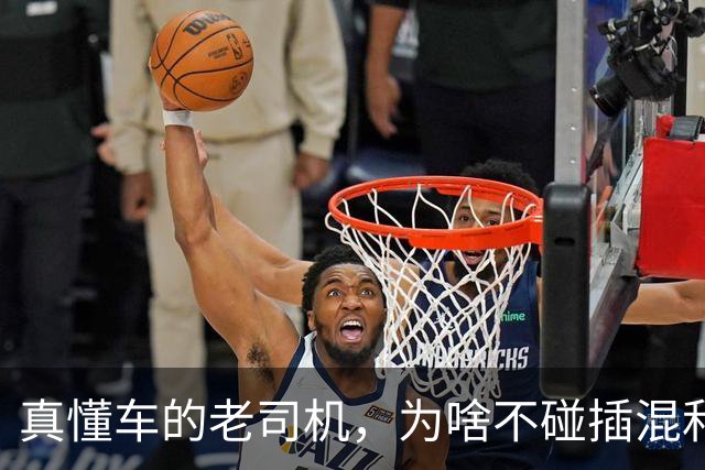 真懂车的老司机，为啥不碰插混和增程？